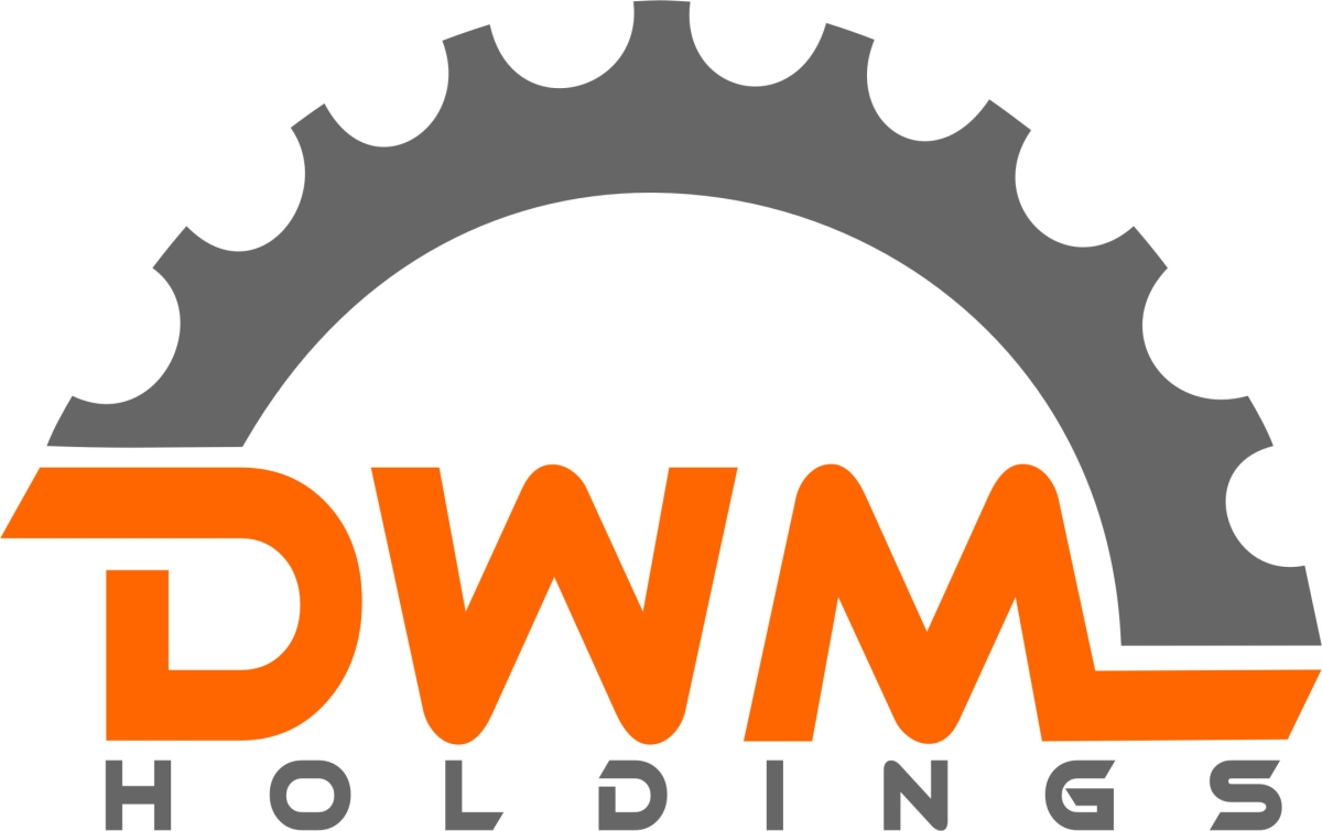 DMW Holdings