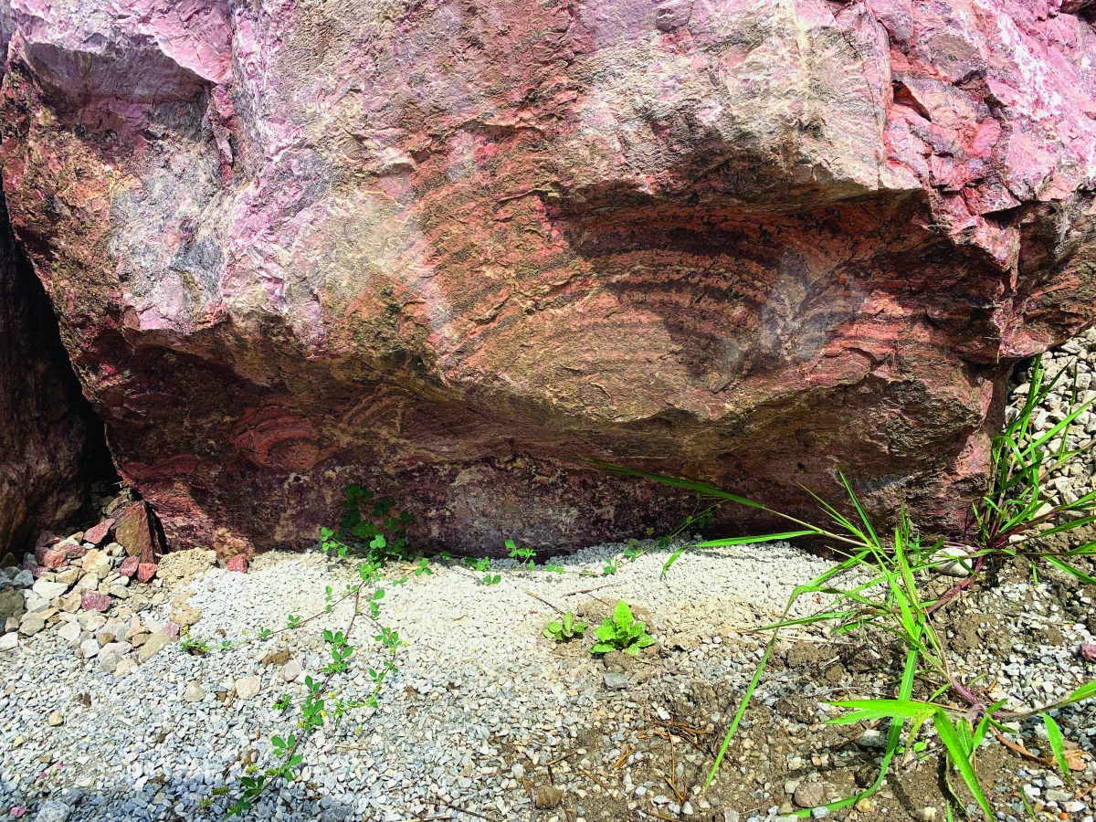 STROMATOLITES IN DOLOMITE